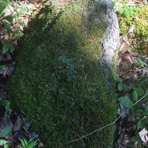 Bundles save money and resources. ❤️